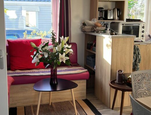 Mobil-home Rapidhome Lodge 875 2020
